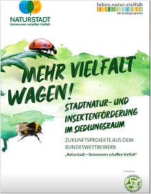 Aktuelle Broschüre Mehr Vielfalt wagen