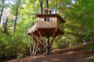 Baumhaus Kogel Baumhaus Kogel © Baumhaushotel Solling
