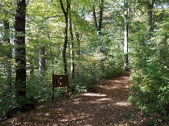 Baumtypenpfad Baumtypenpfad © Stadt Uslar