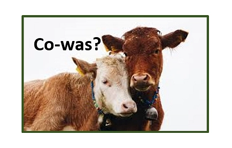 Co-was?&nbsp;&copy;&nbsp;Stadt Uslar