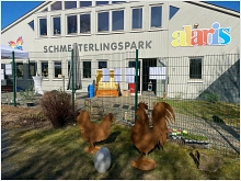 Haus der Schmetterlinge Schmetterlingspark