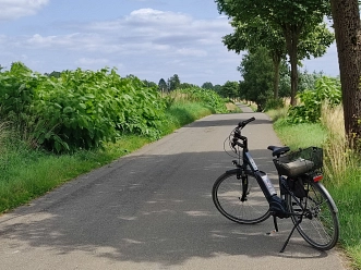 Radfahren durch die Solling-Vogler-Region 2 Radfahren durch die Solling-Vogler-Region © Stadt Uslar