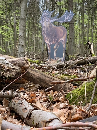 Tierstation im ErlebnisWald Tierstation im ErlebnisWald © Stadt Uslar