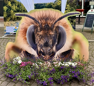 Bienen-Landmarkt&nbsp;&copy;&nbsp;Stadt Uslar